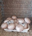 Champignons brun env 400gr