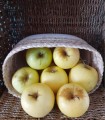 Pomme Golden 1kg