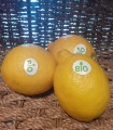 Citron Bio env 500gr