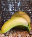 Bananes env 1kg