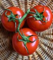 Tomate Grappe env 500gr