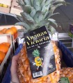 Ananas Victoria Avion